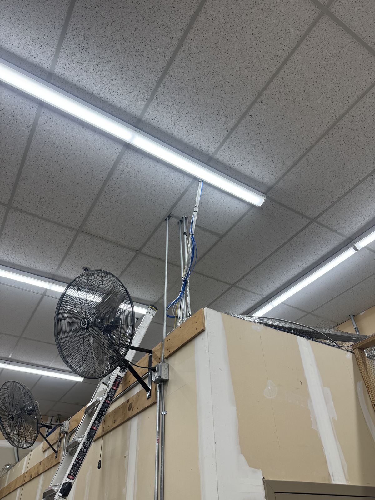 Finished drop ceiling with tidy conduit run and lighting in place
